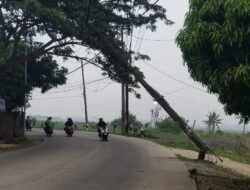 Foto: Tiang Listrik Hampir Roboh di Jalan Kali Baru Lontar Tangerang, Tunggu Korban Jiwa?