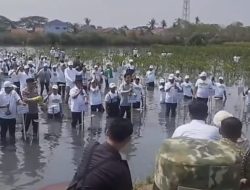 Wapres Gibran Tanam Mangrove di Ketapang Mauk, Ajak Masyarakat Jaga Ekosistem Pesisir