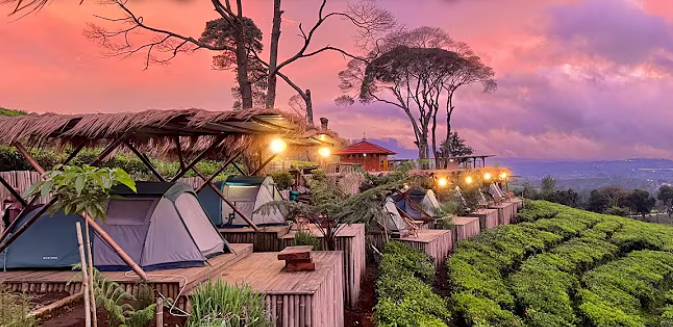 Kiara Manuk: Glamping Estetik di Pangalengan, Menyelami Keindahan Kebun Teh dan Dinginnya Udara 16 Derajat