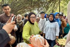 Pasar Rakyat Alam Bambu Ciakar Dipuji Wabup Tangerang: Motor Baru Ekonomi Warga